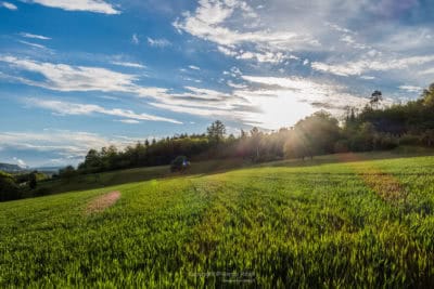 Sonnenstrahlen über dem Auensteiner Wald belichtet die Wiese in vollem Grün